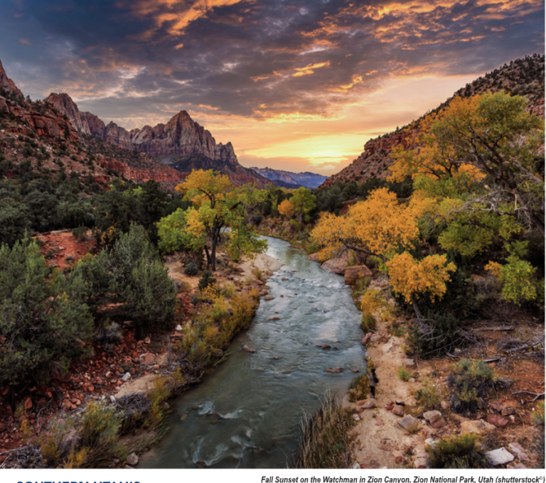 Screenshot 2025-10-29 at 5.33